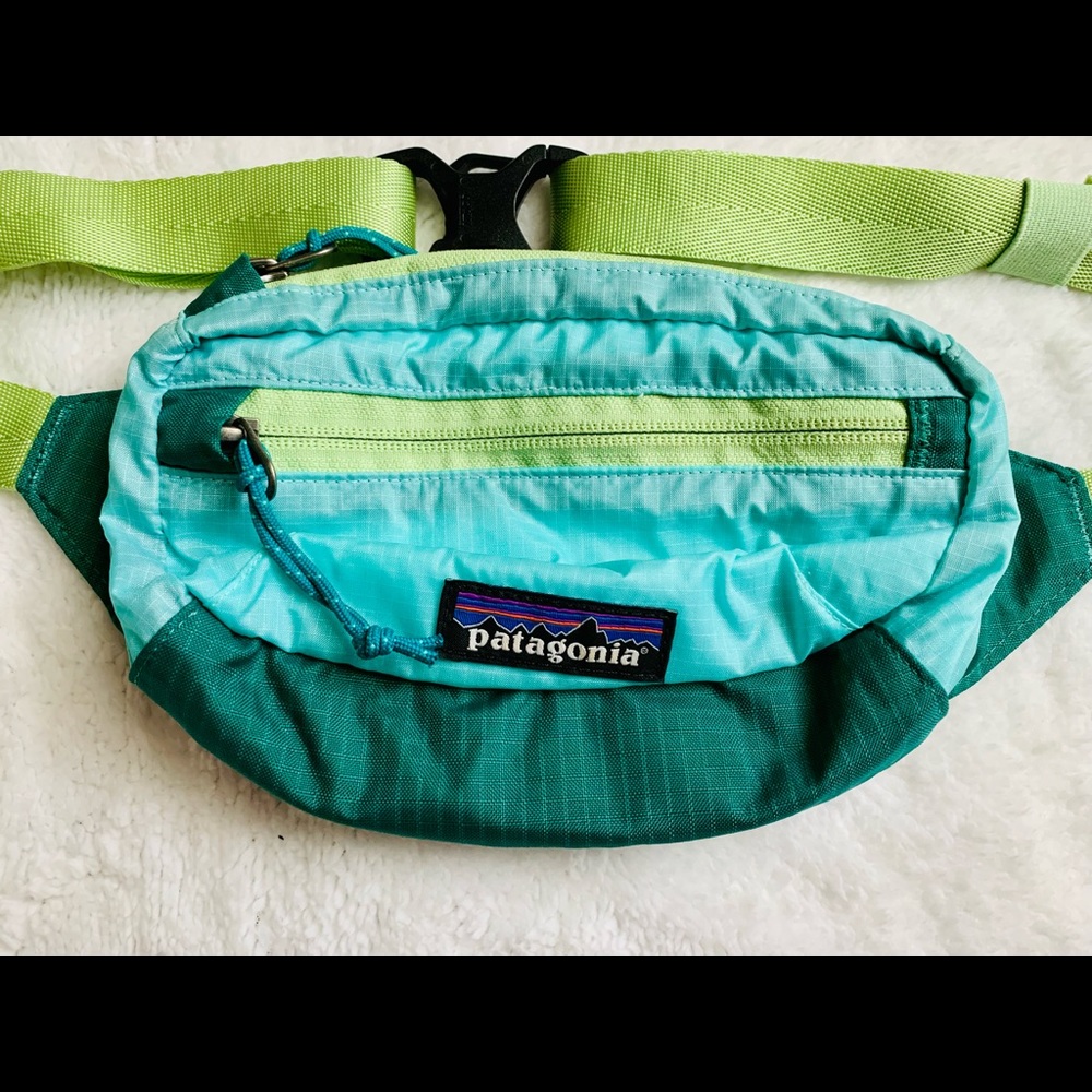 **SOLD** Patagonia Lightweight Travel Mini Hip Pack